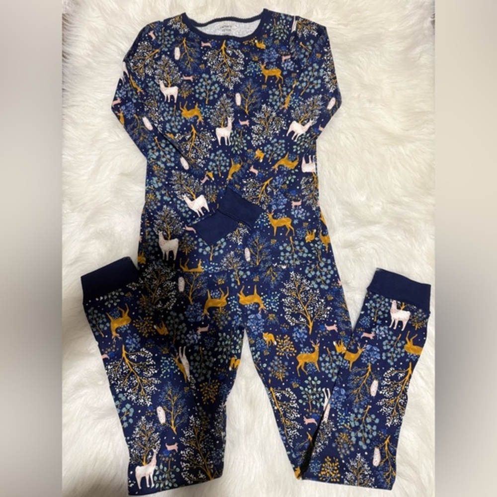 Carter's Pajama Set NWOT